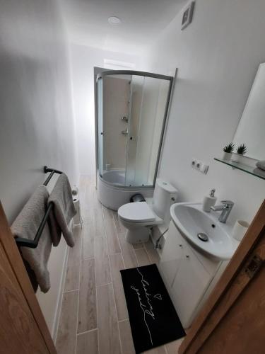 Bany a Dzintars apartment