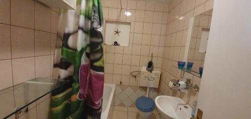 Apartmani Marijan Zavala في زافالا: حمام صغير مع مرحاض ومغسلة