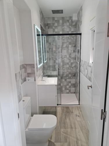 W łazience znajduje się toaleta, umywalka i prysznic. w obiekcie Apartamento Luxury Suite Huelva Zona Centro w mieście Huelva