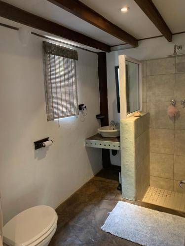 a bathroom with a toilet and a shower and a sink at Jackalberry Cottage in Lobamba