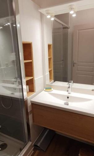 une salle de bain avec un lavabo et une douche dans l'établissement Maison de vacances proche du canal du midi et de la mer, à Colombiers