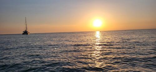 Природа в окрестностях апартаментов/квартиры