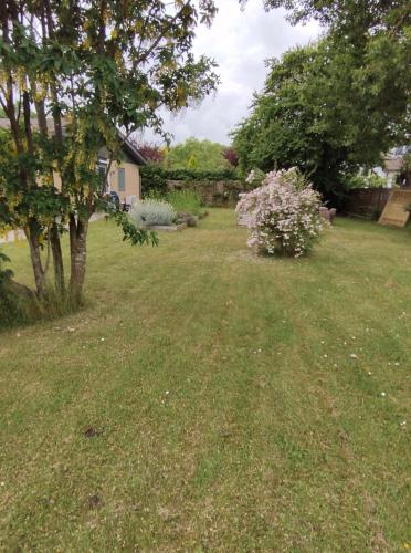 a yard with a tree and a flowering bush at KragenæsHus in Torrig