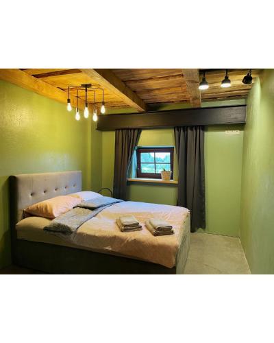 Viesu nams Ezerkalni في Myza Dzirtsiyems: غرفة نوم بها سرير وبجدران خضراء ونافذة