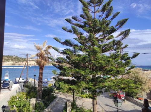 Gallery image of SOTIRIA in Pythagoreio