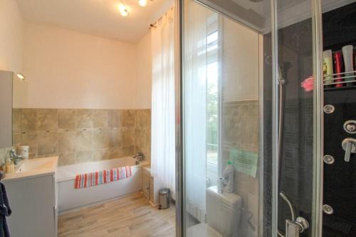 une salle de bain avec douche et lavabo dans l'établissement Grande maison de charme, 14 pers. 5 chambres, sauna, écrin de verdure, baby foot, à Saint-Clémentin