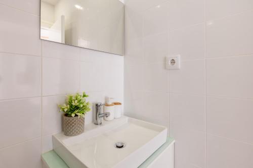 D&S -JB Apartments