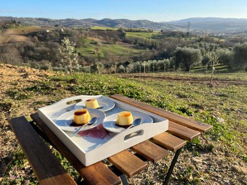 une table avec une plaque de nourriture au-dessus d'un champ dans l'établissement Casale Terre Rosse, à Saturnia