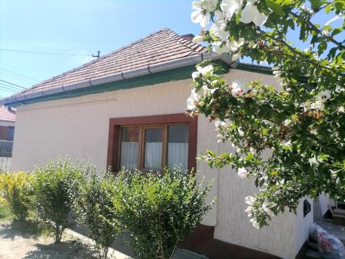 a house with a flowering tree in front of it at Lankás Vendégház - Hollókő in Hollókő