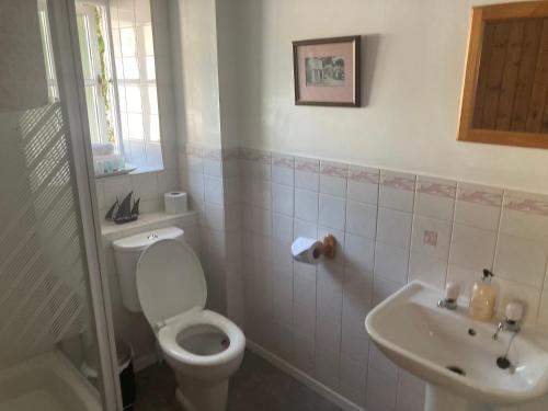 a bathroom with a toilet and a sink at Bissick Old Mill in Truro