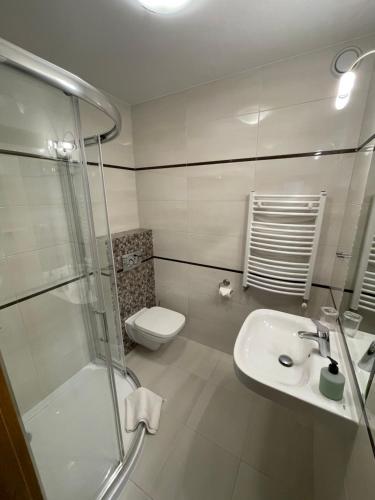 Un baño con ducha, lavabo e inodoro. en Wil-Art Jastarnia Pokoje i apartamenty, en Jastarnia