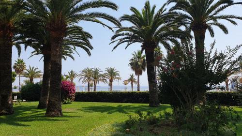 Garden and beach sea view apartment Cannes photo 33