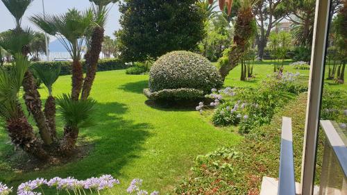 Garden and beach sea view apartment Cannes photo 32