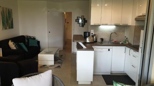 Garden and beach sea view apartment Cannes photo 35