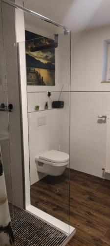 a bathroom with a toilet and a glass shower stall at Ferienwohnung Jobst - Ruhig mit Blick ins Grüne in Nittenau