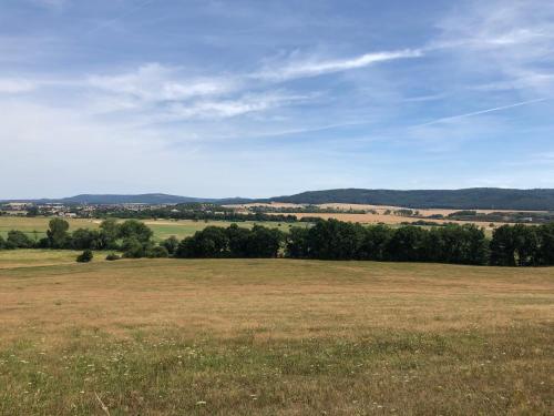 a large open field with trees in the distance at Ferienwohnung Krayenbergblick in Bad Salzungen
