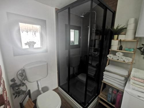 a bathroom with a shower and a toilet and a window at Kuća za odmor Bakina Divljaka in Slavonski Brod