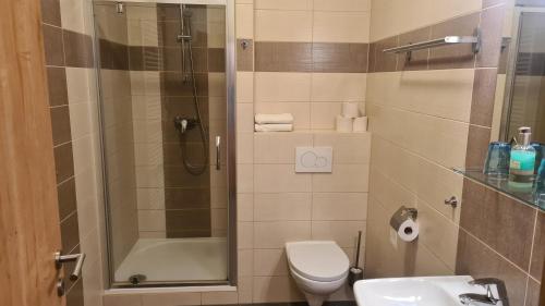 a bathroom with a shower and a toilet and a sink at Penzion Dominik in Železná Ruda