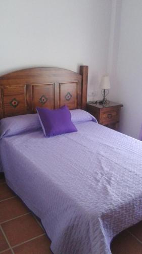 a bedroom with a bed with a purple comforter at Apartamento Antonia 2 in Agua Amarga