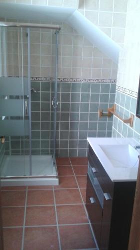 a bathroom with a shower and a sink at Apartamento Antonia 2 in Agua Amarga