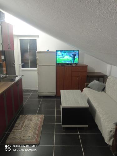 a kitchen with a couch and a tv in a room at apartman Dragic in Budva