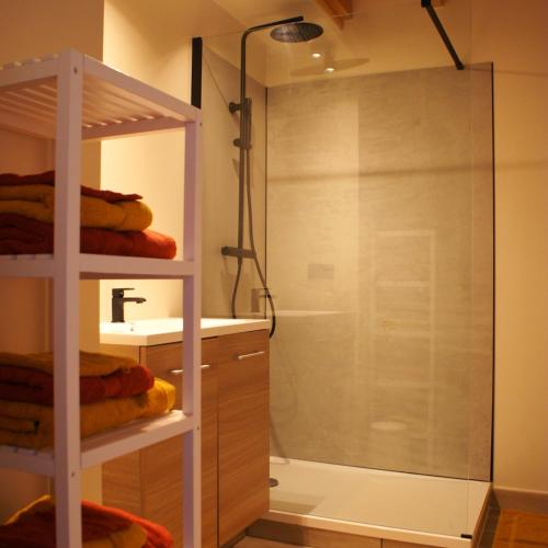 une salle de bain avec douche et lavabo dans l'établissement vakantiewoning Odiel & Gabrielle, à Montchevrier