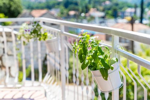 Φωτογραφία από το άλμπουμ του Apartment House of Artichoke with amazing sea view, Dubrovnik σε Mokošica