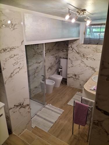 a bathroom with a toilet and a sink at casa belvedere in Monzambano