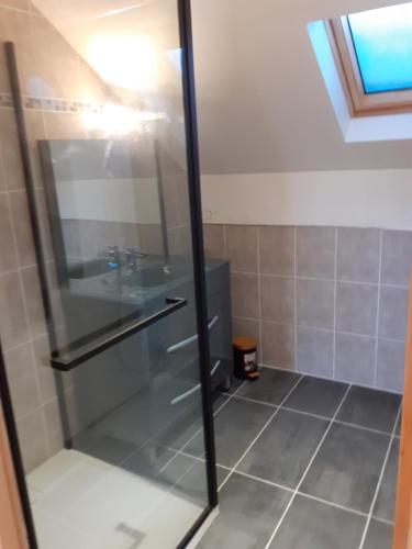 une douche en verre dans une salle de bain avec un lavabo dans l'établissement Petite maison bien vivre au coeur de la montagne, à Grandes Sables