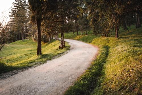 a dirt road with a bench on the side of a field at Albergo Villa San Michele in Greve in Chianti
