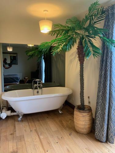 SilverStar Barn at TinyWoodHomes – Photos 5
