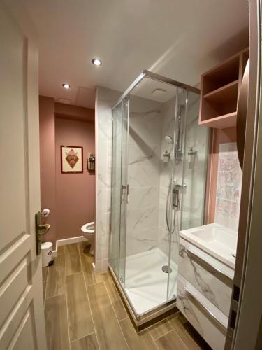 uma casa de banho com uma cabina de duche em vidro e um WC. em Logement entier - L'Appart des anges 1 em Noyers-sur-Serein