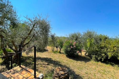 ogród z drzewami, krzakami i ogrodzeniem w obiekcie Farmhouse 6 pers in Peymeinade - 20 min from Cannes w mieście Peymeinade