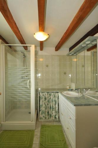 a bathroom with a shower and a sink and a mirror at La Boulonne in Festigny