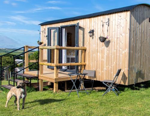 a dog standing in front of a wooden house at Shepherds hut with a hot tub in Bodmin
