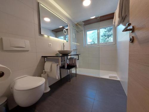 La salle de bains est pourvue de toilettes et d'un lavabo. dans l'établissement Apartment Samira, à Zermatt