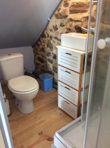 une salle de bain avec toilettes et lavabo dans l'établissement Les Landes Gîte, à Saint-Pardoux-Corbier