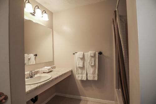 a bathroom with a sink and a mirror at Atlantic Motel in Moncton