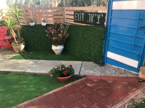 a garden with potted plants and a blue door at סוויטות עין השמש eye sun in Arad