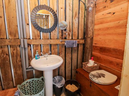 a bathroom with a sink and a mirror at Shepherd's Hut at Retreat in Llanrhaeadr-ym-Mochnant