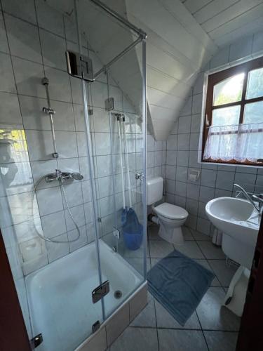 バラトンフェニヴェシュにあるEmma Villaのバスルーム(シャワー、トイレ、シンク付)