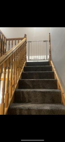 a set of stairs in a building with a stair railing at Woodland lodge, apartment in Derry Londonderry