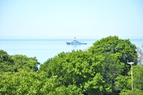 a boat in the water with trees in the foreground at Sköna Hönor Apartments in Visby