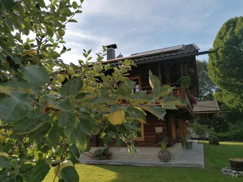 Zahrada ubytování Luxus Chalet Fasserhäusl