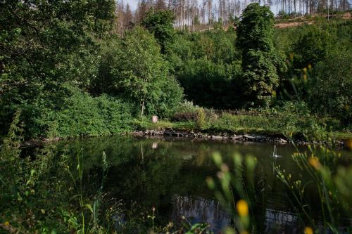 a body of water with trees and a forest at Tiny House Nature 3 - Green Tiny Village Harz in Osterode