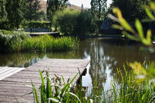a wooden dock on a lake with a bench at Tiny House Nature 3 - Green Tiny Village Harz in Osterode