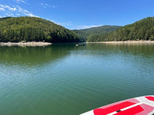 a view of a lake with a boat in the water at Franzdorf Alpin in Văliug