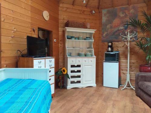 een kamer met een bed, een tv en een keuken bij De Geheime Tuin - Huisje in 't Groen in Epe