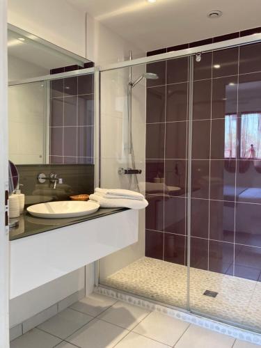 a bathroom with a glass shower with a sink at Chambre Is in Is-sur-Tille