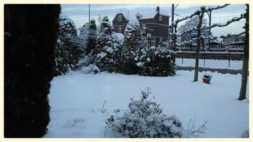 a yard covered in snow with trees and houses at b&b de Vlinder in Hardenberg